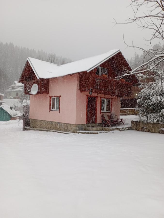 Holiday Home Melodiya Karpat Iaremcea Exterior foto