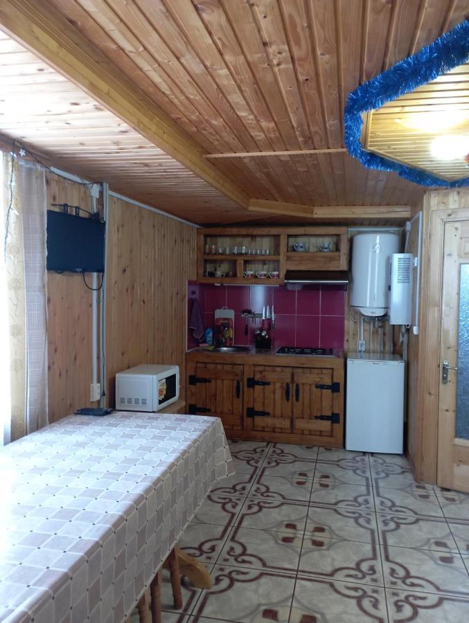 Holiday Home Melodiya Karpat Iaremcea Exterior foto