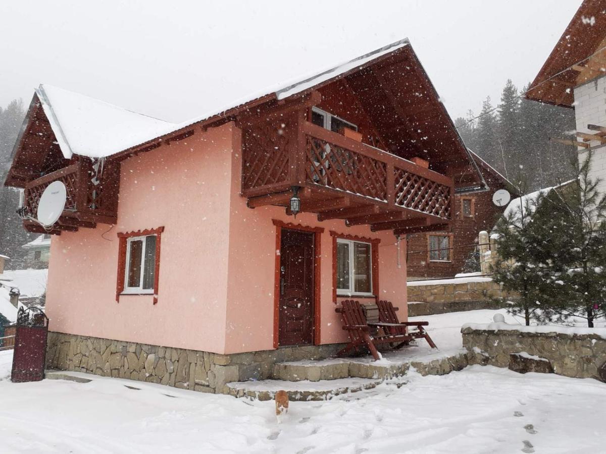 Holiday Home Melodiya Karpat Iaremcea Exterior foto