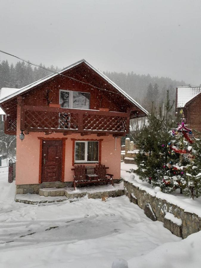 Holiday Home Melodiya Karpat Iaremcea Exterior foto